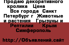 Продаю декоративного кролика › Цена ­ 500 - Все города, Санкт-Петербург г. Животные и растения » Грызуны и Рептилии   . Крым,Симферополь